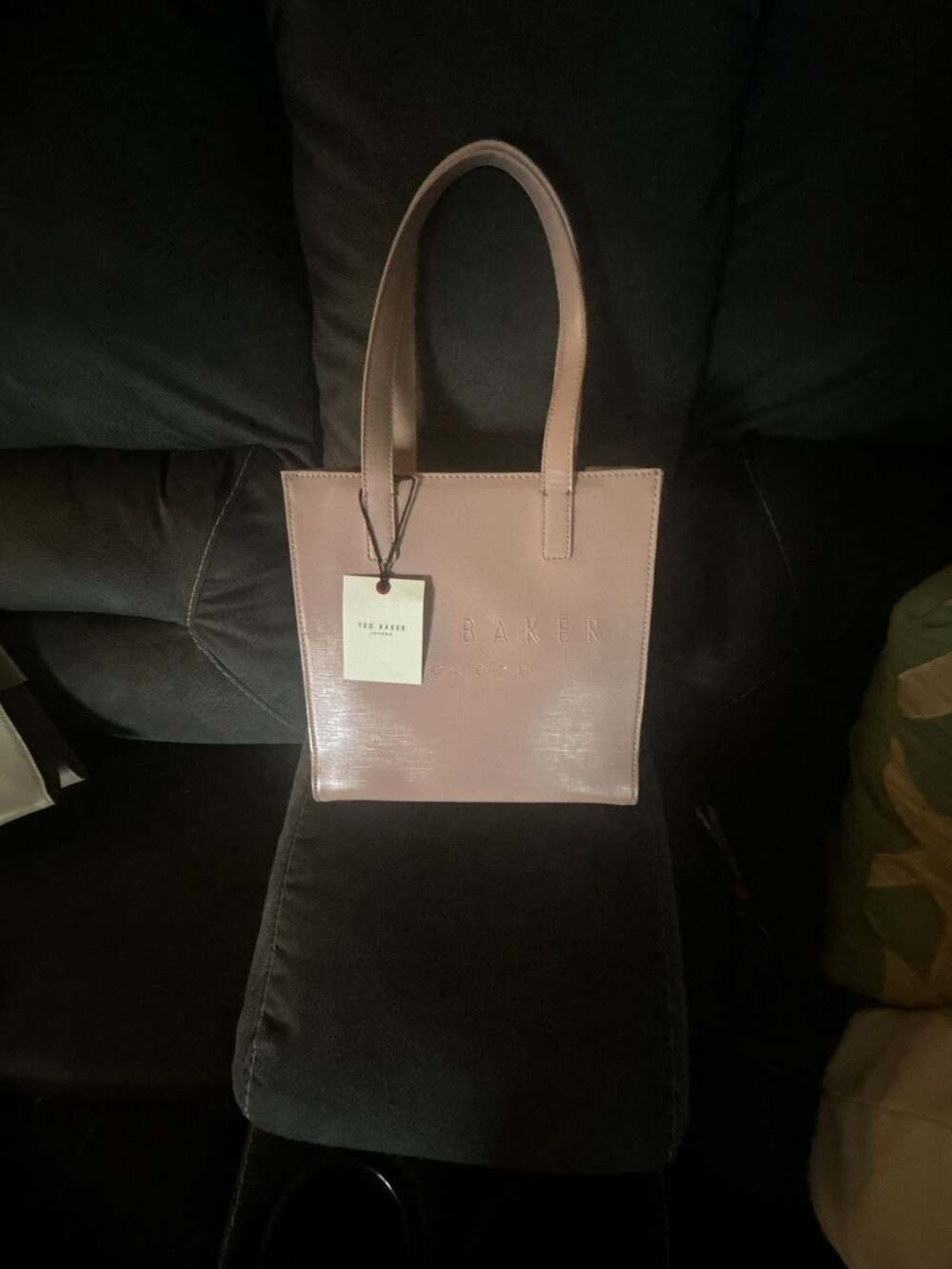 Ted Baker The Icon Small Tote Bag in Light Pink